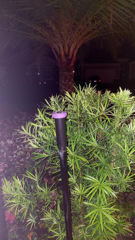 https://photos-us.bazaarvoice.com/photo/2/cGhvdG86bG93ZXM/be141ae6-1985-50b0-8e39-0821efec811e