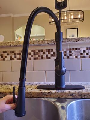 allen + roth Talbert Oil rubbed bronze Single Handle Deck-mount Pull ...