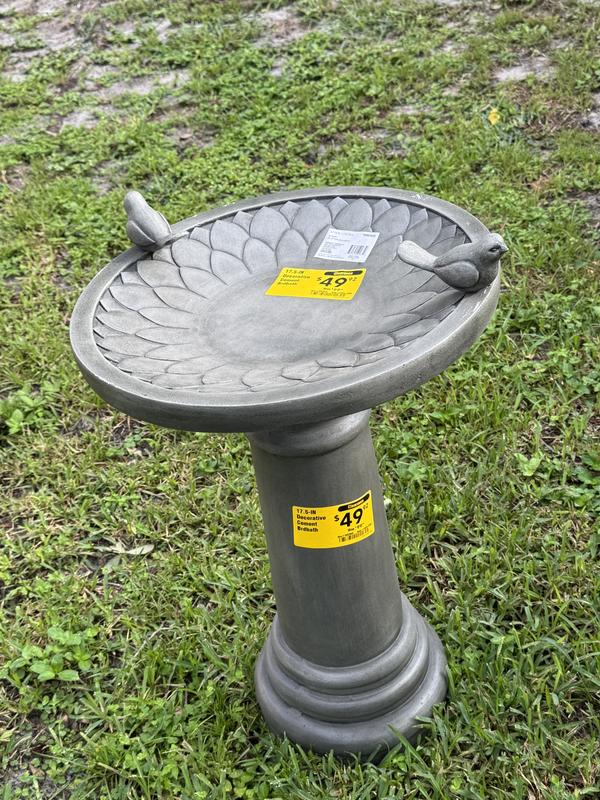 allen + roth 21-in H Gray Cement Complete birdbath in the Birdbaths ...