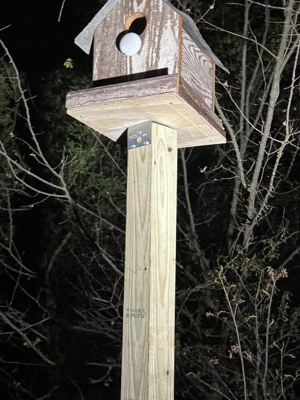 Simpson Strong-Tie BC 4-in x 4-in ZMAX Wood to wood Base in Simpson Strong-Tie BC 4-in x 4-in ZMAX Wood to wood Base in