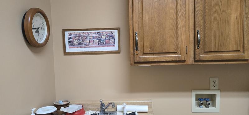 HGTV HOME by Sherwin-Williams Ovation Plus Satin Ice Rink Blue 4007-5a ...