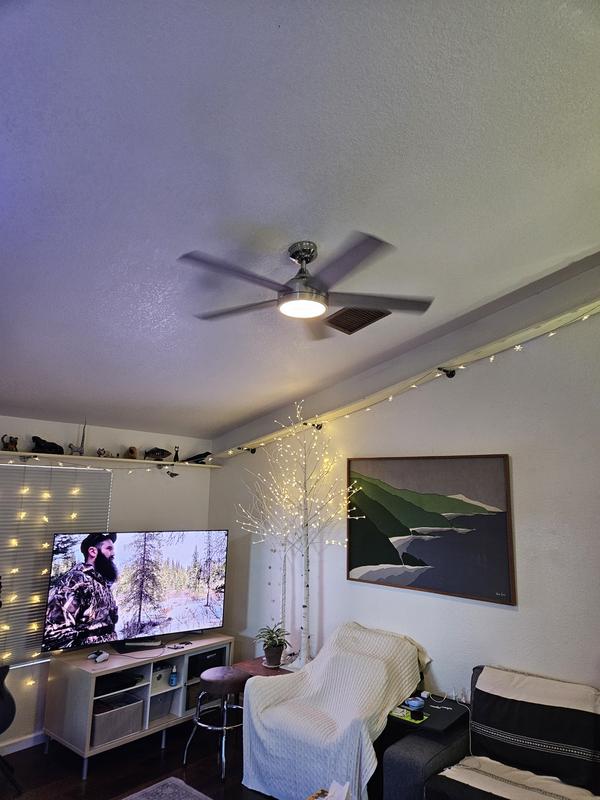 H4CBH50% リキッドコットンキャンディ &Penjaminpen(黒) Hunter Anvik 52” Indoor/Outdoor Ceiling Fan with Remote | Costco