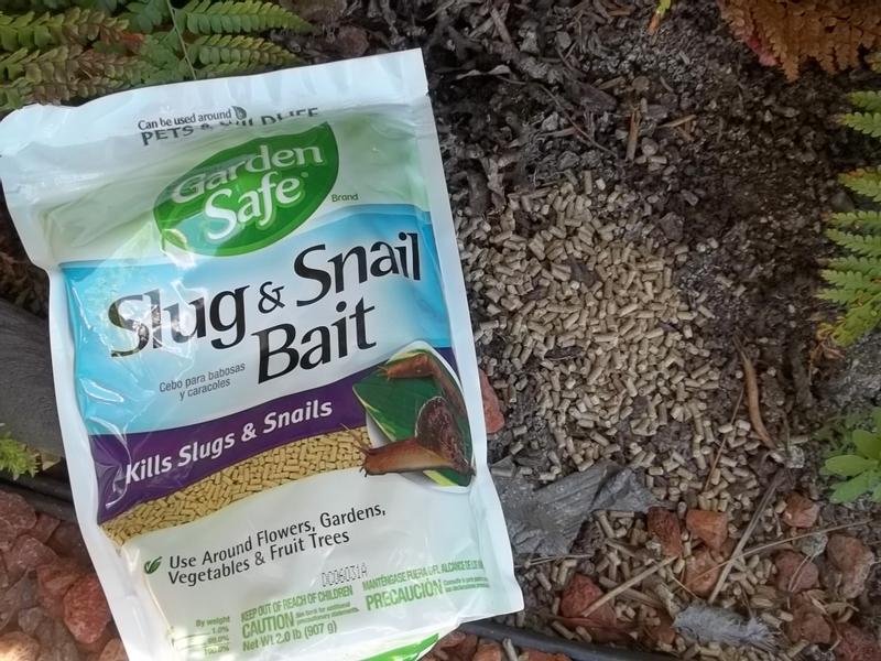 is garden safe slug and snail bait safe for dogs