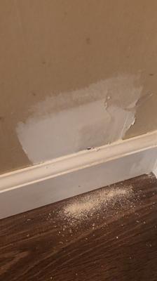 drywall sanding with a sponge｜TikTok Search