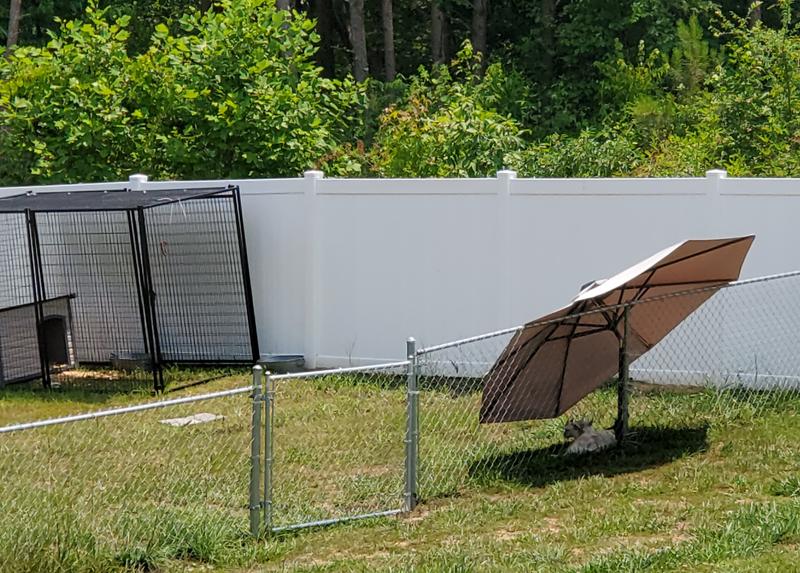 Pet Sentinel Any pet Welded steel Dog Preassembled kennel