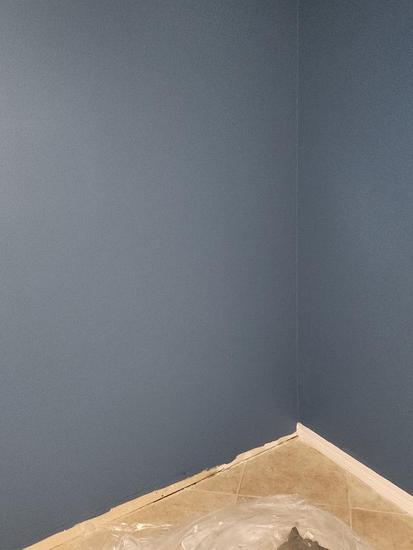 HGTV HOME by Sherwin-Williams Ovation Plus Flat Fabulous Red 1011-2 ...