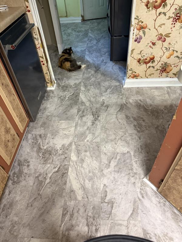 STAINMASTER White Marble Look 9.84-mil x 12-ft W Waterproof