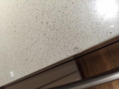 allen + roth Vashon Quartz White Kitchen Countertop SAMPLE (4-in x 4-in ...
