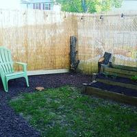 Backyard X Scapes Actual 16 Ft X 6 Ft Natural Reed Fencing
