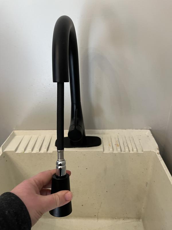 allen + roth Gillen Stainless Utility Faucet with Pulldown Sprayer