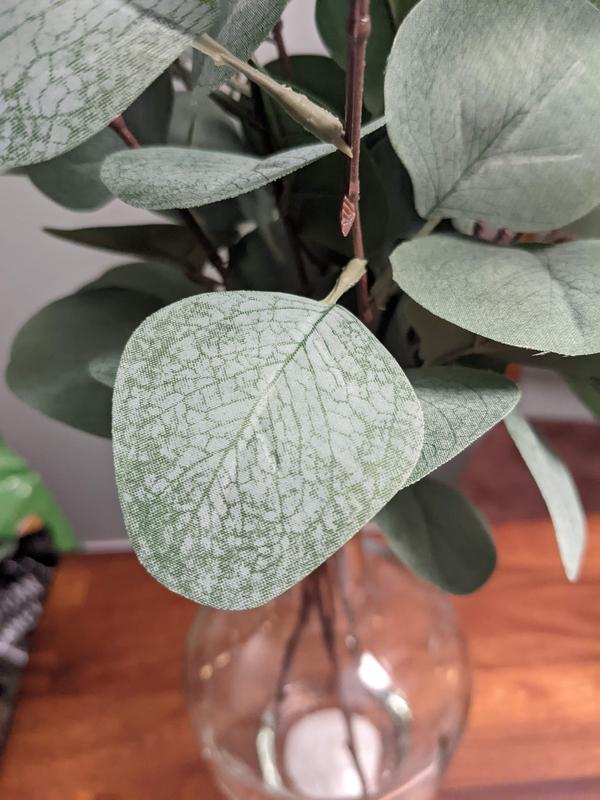 Eucalyptus in Glass VaseFaux Greenery Watergarden, 20