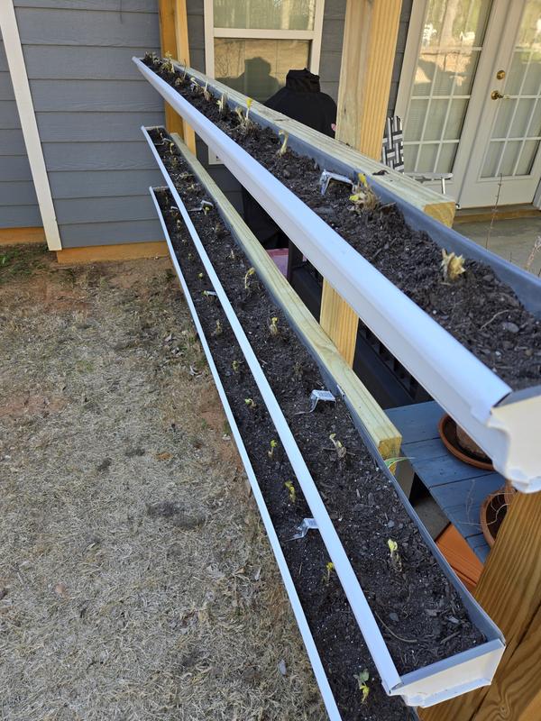 Amerimax 5-in x 120.0-in White K style Gutter in the Gutters Amerimax 5-in x 120.0-in White K style Gutter in the Gutters