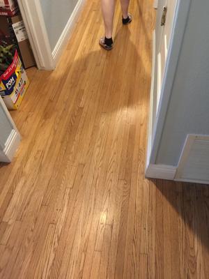 Orange Glo 32 Fl Oz Liquid Floor, Orange Glo Hardwood Floor Refinishing