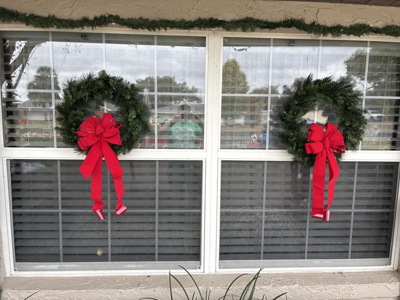 Holiday Living 28-in Scottsdale Pine Pre-lit Indoor/Outdoor