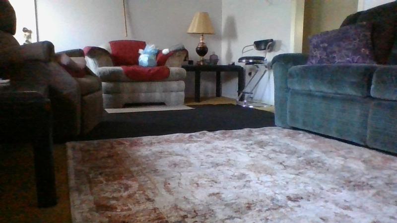 allen + roth Monarch Border 5 X 8 (ft) Rust Indoor Floral/Botanical ...