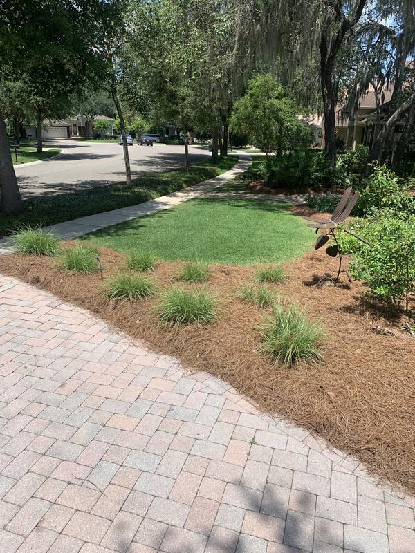 FloraCraft Barley Straw (up to 35-sq ft Coverage) in the Pine