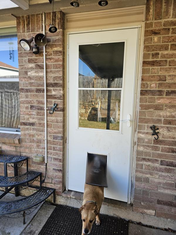 Lowes back door with best sale dog door