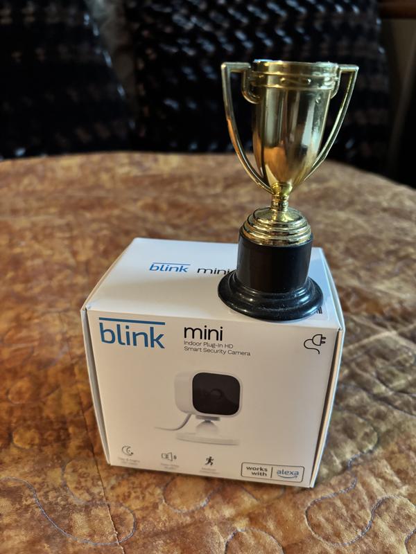 Shop Blink Blink Mini Camera, Black + Video Doorbell + Synch