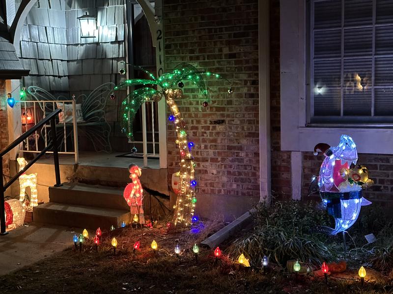 peacock christmas decoration at lowes｜TikTok Search