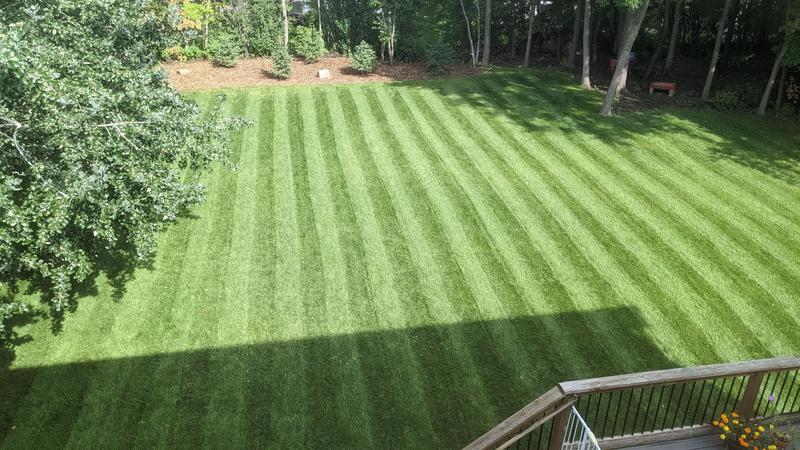 Lawn mower best sale striping kit lowes