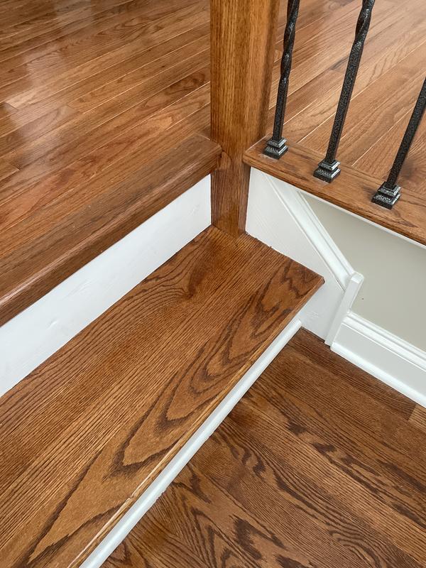 Flexco Java/Chestnut 0.75-in T x 0.75-in W x 78-in L Solid Wood Quarter Round