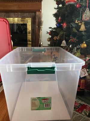 Holiday Living 16.125-in x 13.5-in-Compartment Clear Ornament