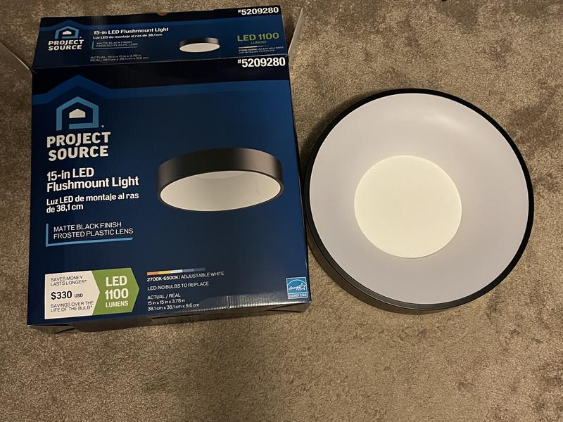 Project source led 2024 flush mount