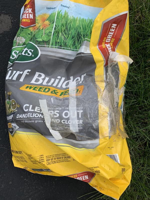 Turf builder weed 2024 and feed