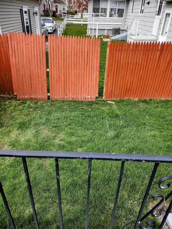 Pine 6-ft x 8-ft Spruce pine fir Stockade Privacy Stockade Fence