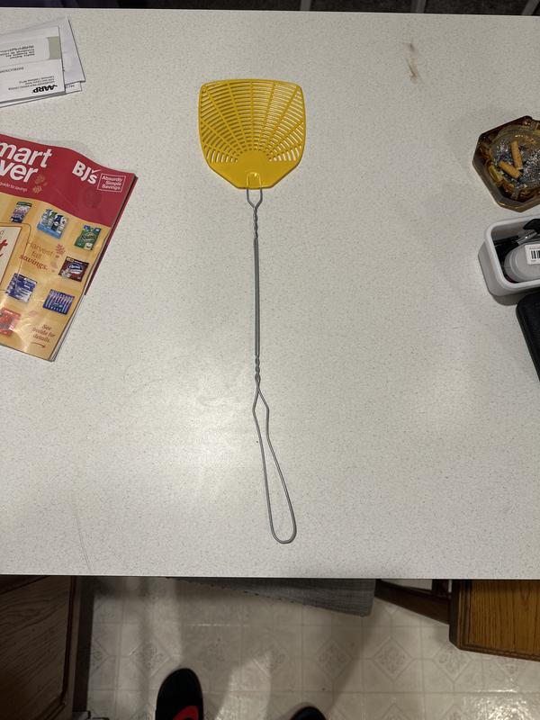 Lowes deals fly swatter