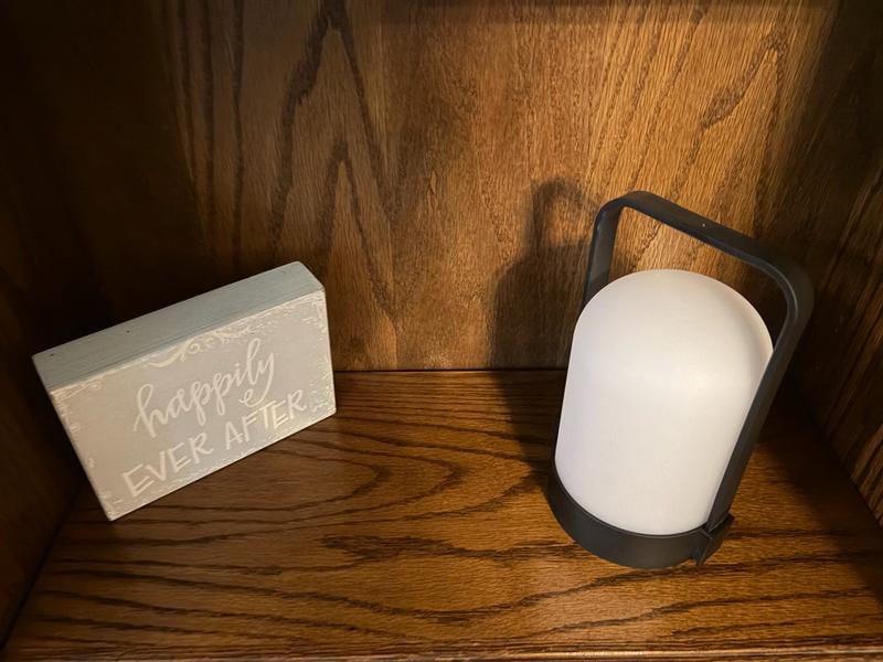 Style Selections Lantern 9-in Adjustable Black Standard Desk Lamp