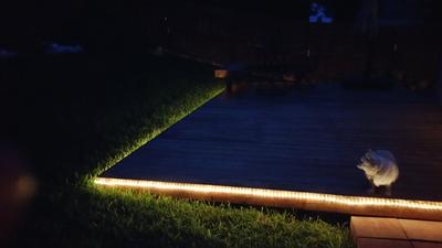 Utilitech Outdoor Rope Light at Lowes.com