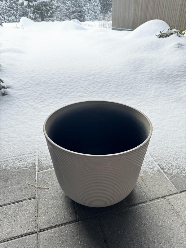 Shop allen + roth allen + roth Planter Plant Starter Kit at Lowes.com