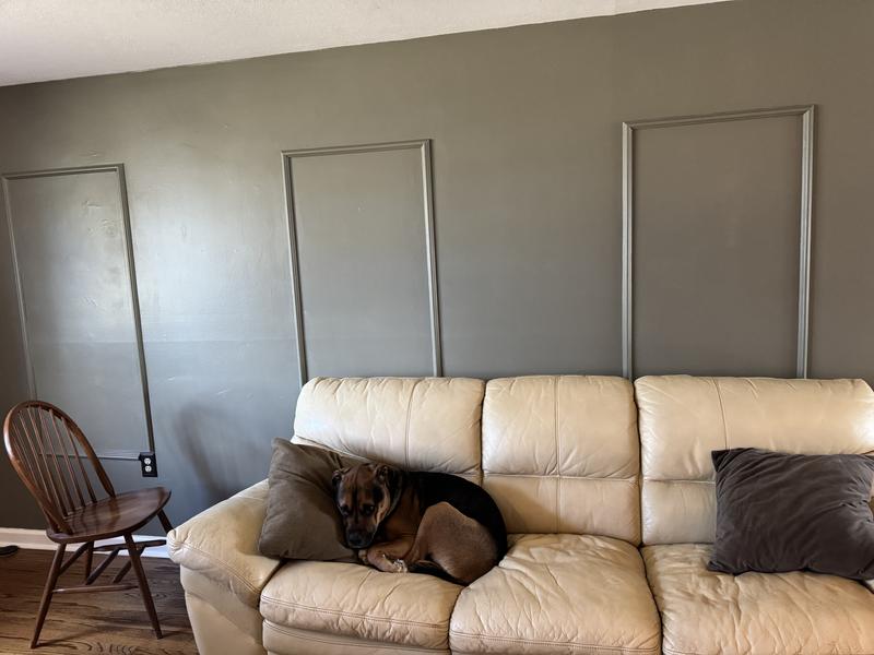 BUILD and BATTEN Wall Panel Rail Kit Finished Polystyrene Strip Picture ...