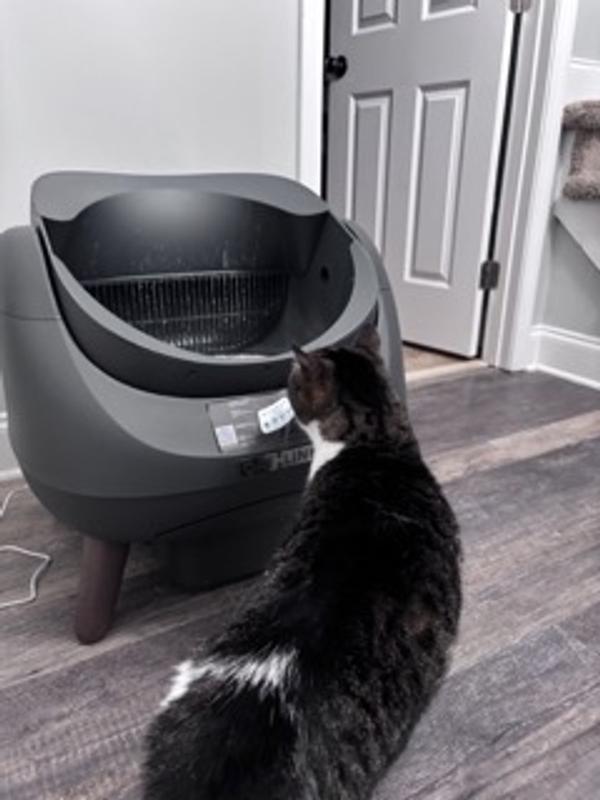 CATLINK Open Top Self-Cleaning Litter Box Multi-Cat Anti-Pinch Health ...