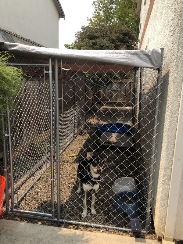 Chain link dog kennel lowes best sale