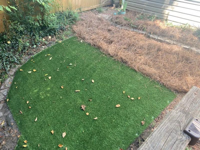 Everlast Sequoia 7.5-ft W x Cut-to-Length Fescue Artificial Grass Everlast Sequoia 7.5-ft W x Cut-to-Length Fescue Artificial Grass