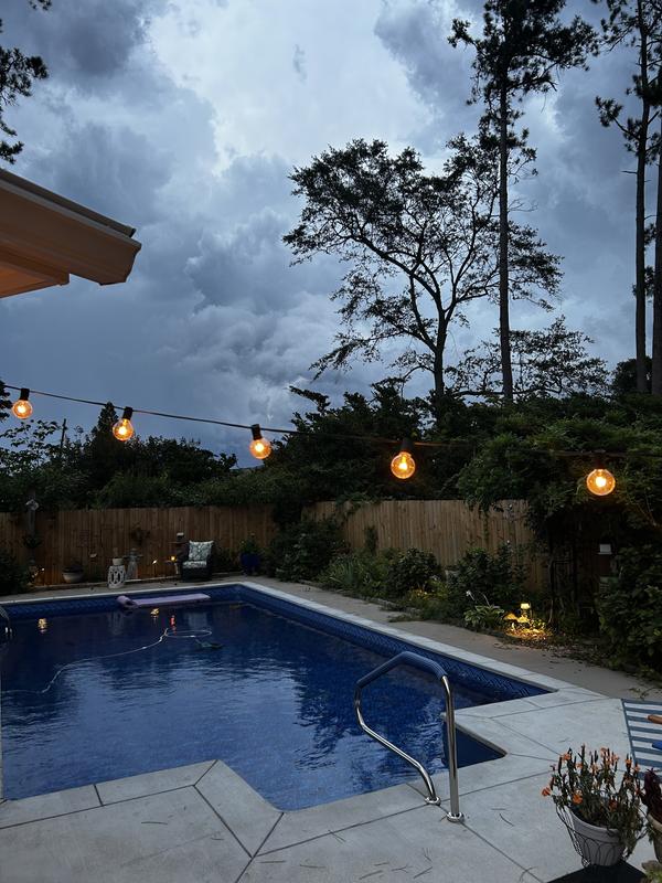 Harbor Breeze 64-Lumen 2-Watt Bronze Low Voltage Plug LED Outdoor