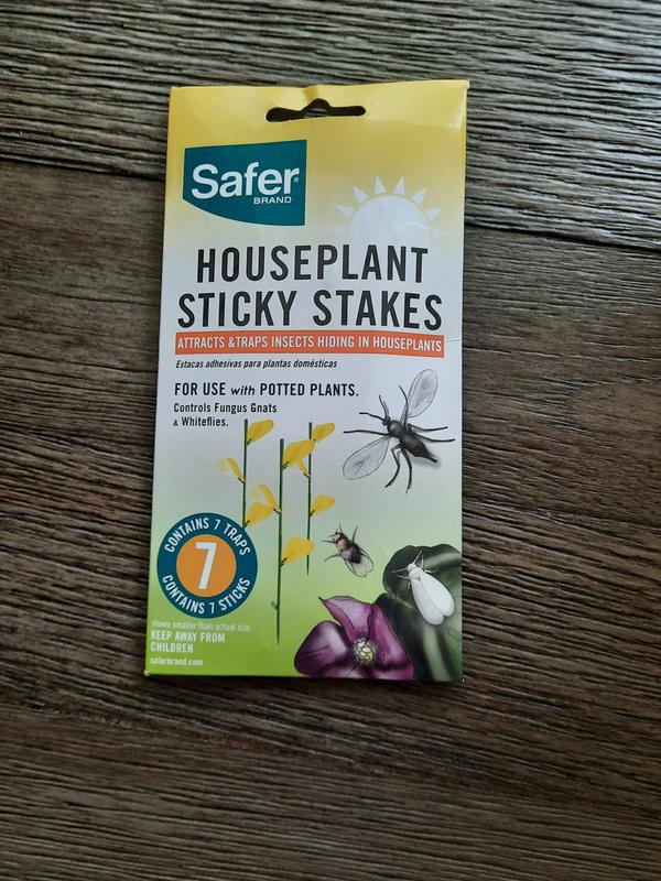 Classy Casita Sticky Traps- House Plant Sticky Stakes, Plant Bug