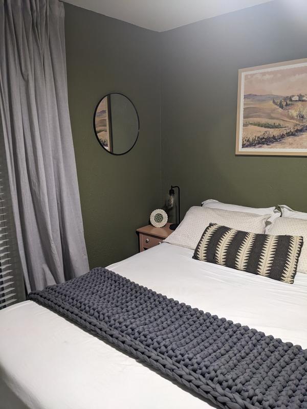 HGTV HOME by Sherwin-Williams Ovation Plus Flat Base Tintable Interior ...