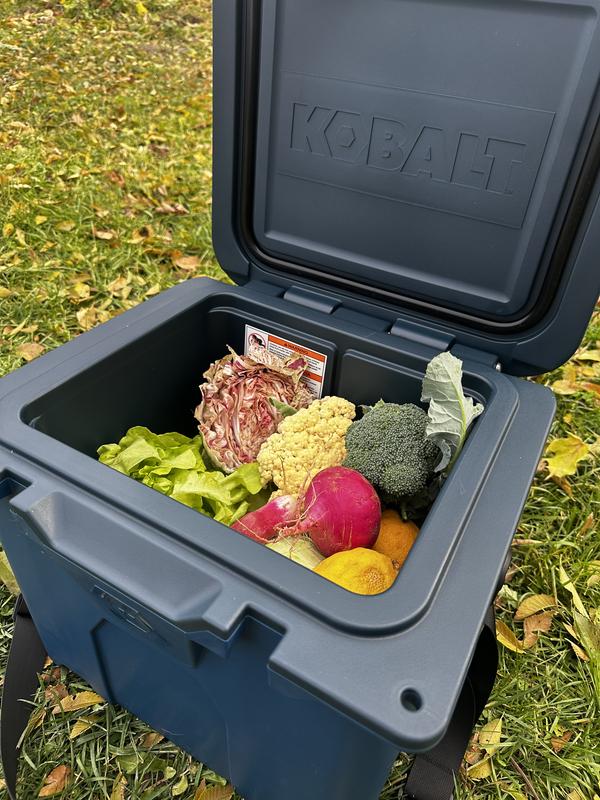 Kobalt cooler store