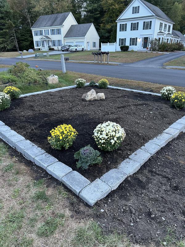 Shop Pavestone Tree Ring (114