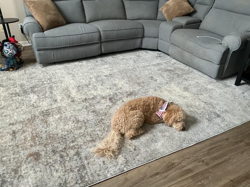 Origin 21 8 X 8 (ft) Beige Gray Round Indoor Area Rug 8R-9014-195