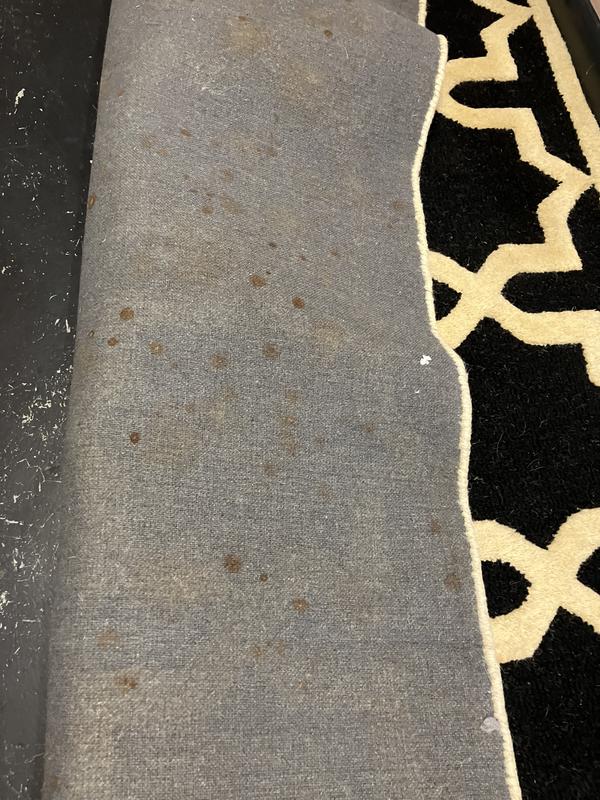 Safavieh Cambridge Marakesh 9 X 12 (ft) Wool Rust/Ivory Indoor Abstract ...