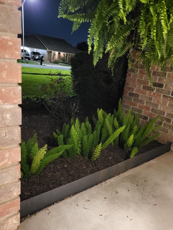 IRONRIDGE 16.26-ft x 5 Rustic Steel Landscape edging section in the ...