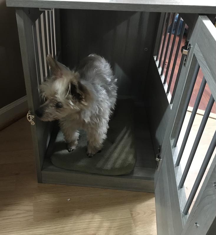 Curated visual reference: Closetmaid Extra Small Composite Dog Cat Crate Indoor 1 92 Photo Inspiration