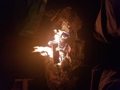 Qualiflame Firelogs 29-lb Natural Fire Log (10-Pack) at Lowes.com