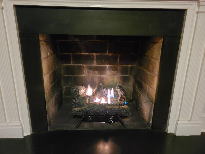 Pleasant Hearth 19.75-in 30000-BTU Dual-Burner Vent-Free Gas Fireplace Logs  in the Gas Fireplace Logs department at Lowes.com