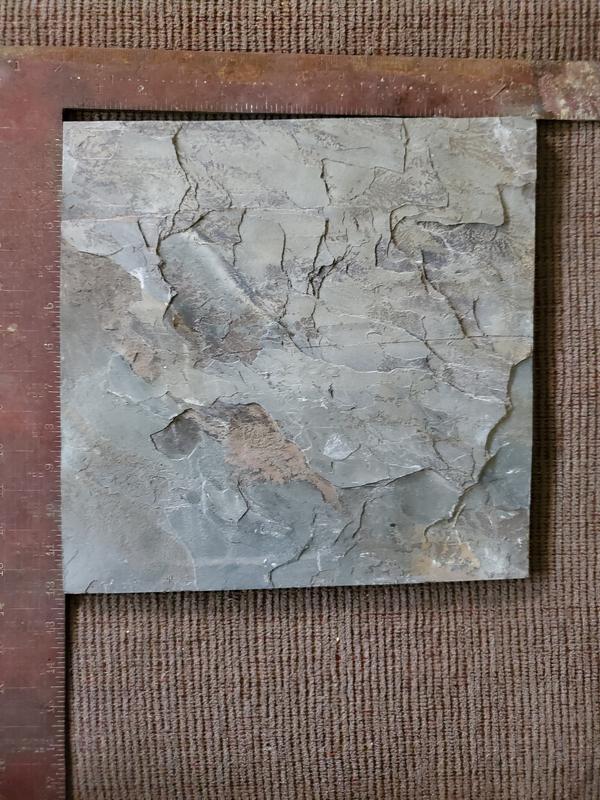Emser RUSTIC GOLD Rustic Gold 12-in x 12-in Natural Natural Stone Slate ...