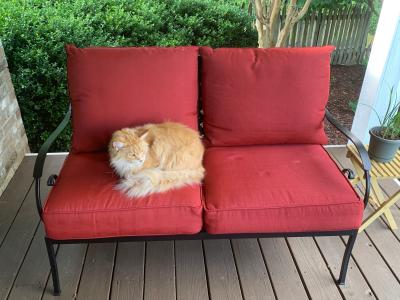 Garden Treasures Yorkford Outdoor Loveseat with Red Cushion S and
